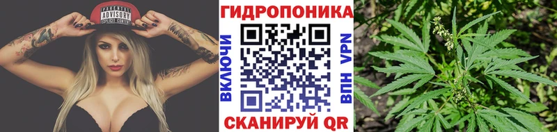 наркота  Петровск-Забайкальский  Каннабис AK-47 